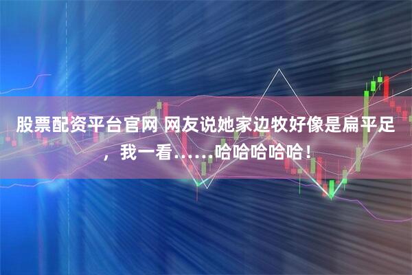 股票配资平台官网 网友说她家边牧好像是扁平足，我一看……哈哈哈哈哈！